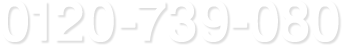 0120-739-080